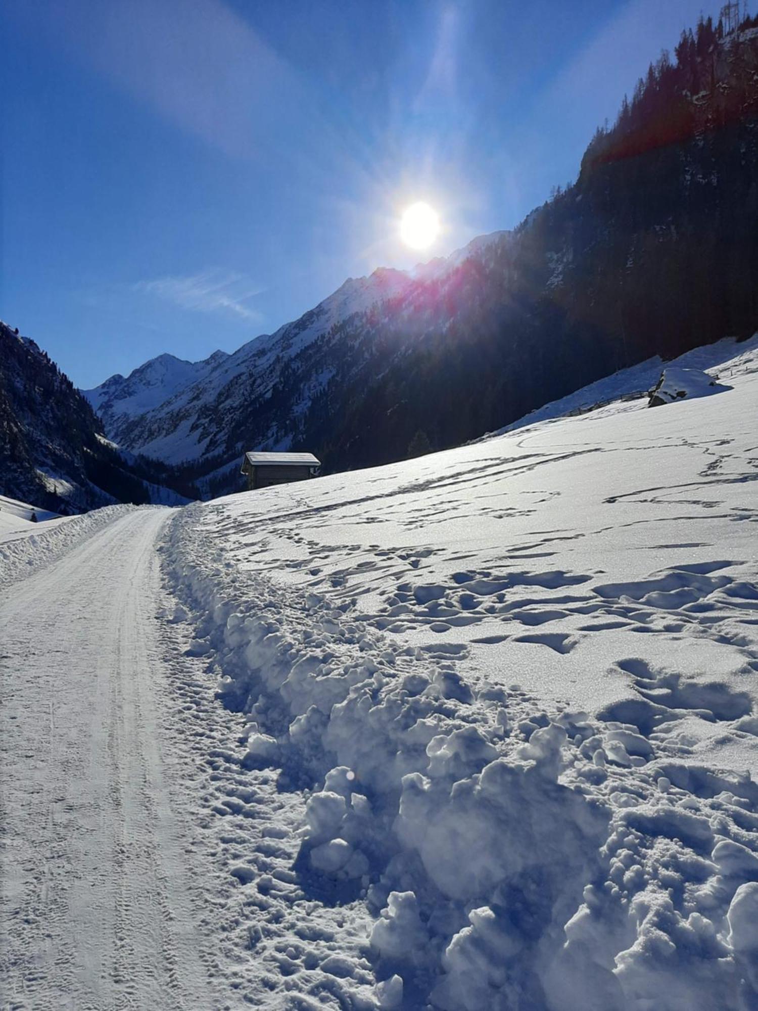 Apart Alexandra Strass im Zillertal Phòng bức ảnh